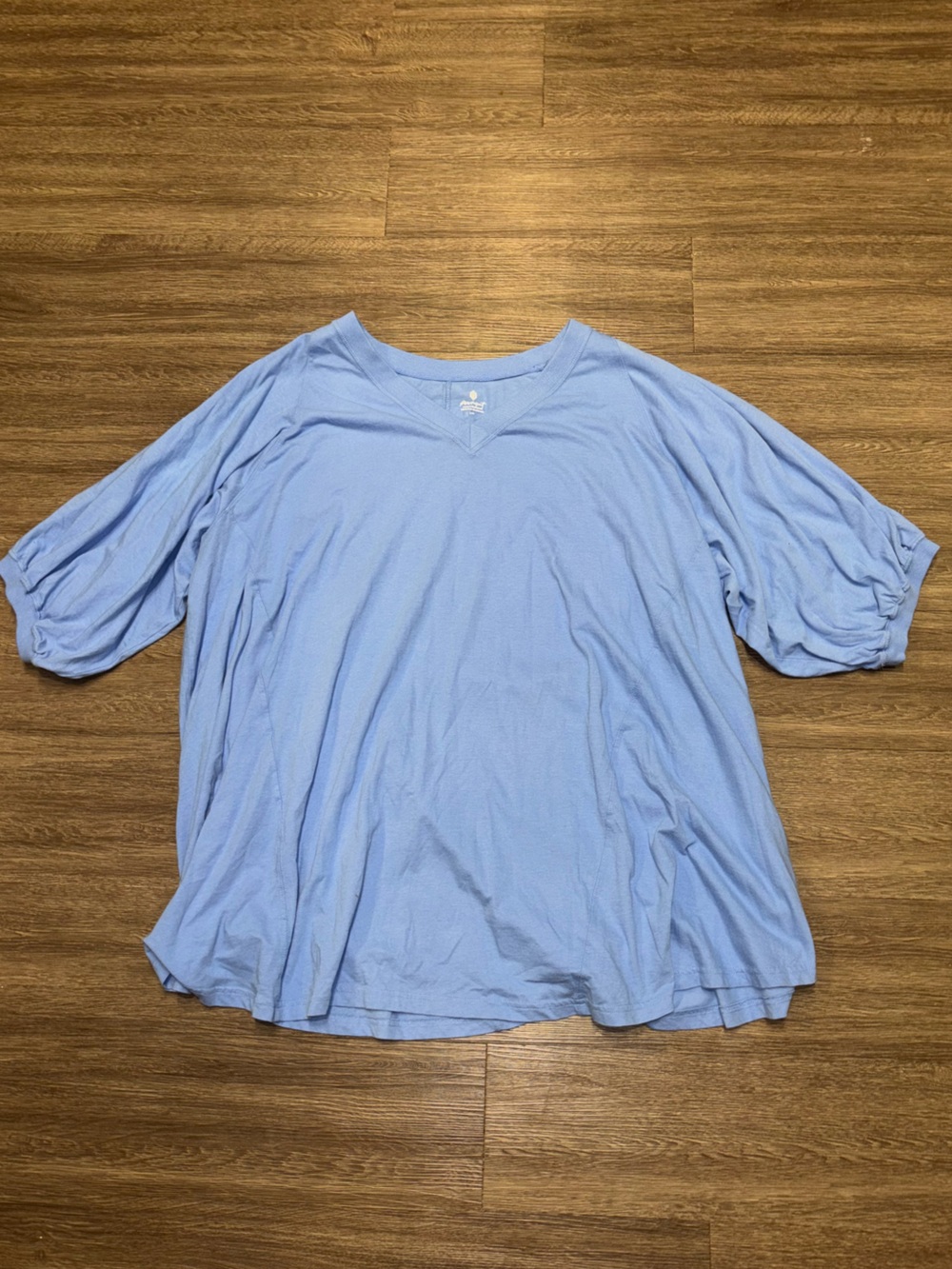 Free People Light Blue Long Sleeve Oversized Tee